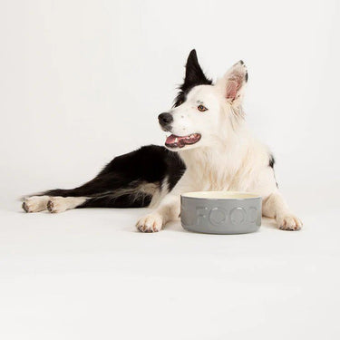 Scruffs Classic Food Dog Bowl - GREY 19CM